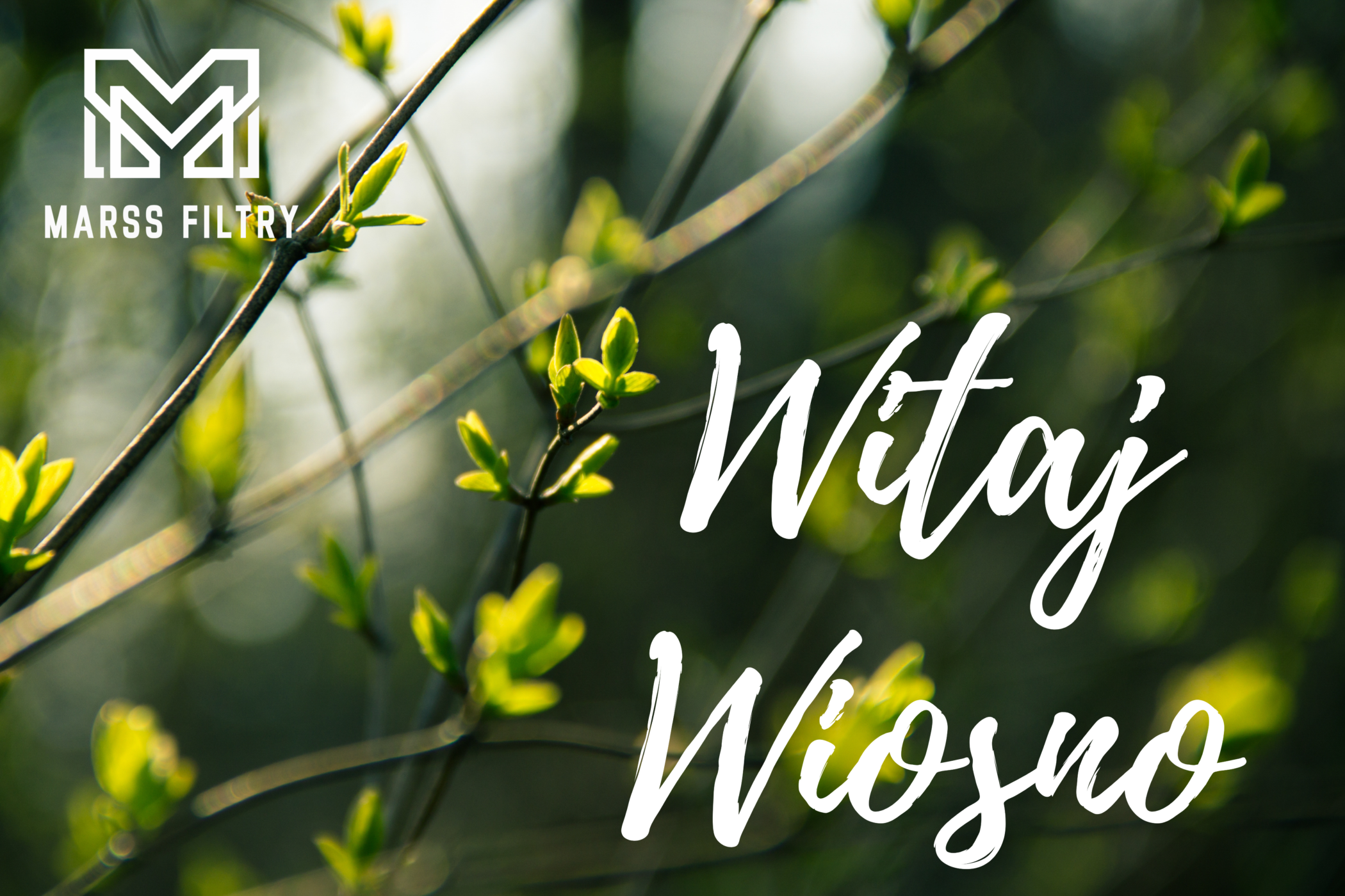 Witamy wiosnę z&nbsp;czystym powietrzem w&nbsp;domu! 🌱💨