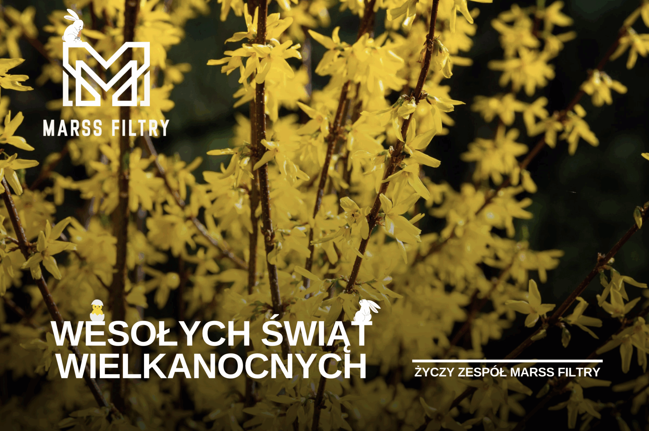 Wielkanoc w&nbsp;MARSS FILTRY 🌷🐣