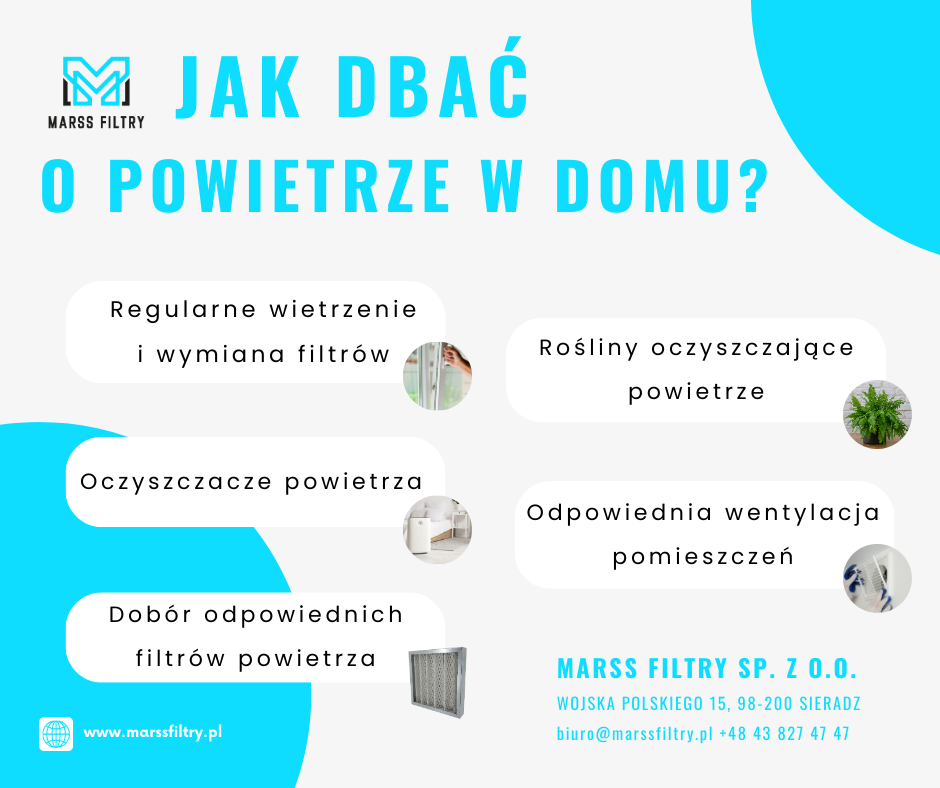 Jak dbać o&nbsp;czystość powietrza w&nbsp;domu? 🌿💨